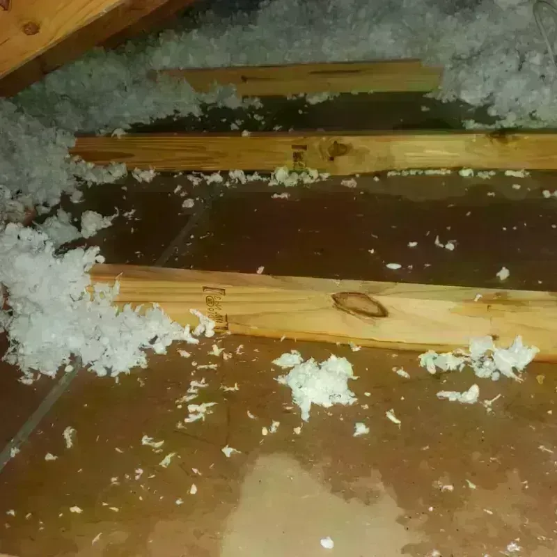 Attic Water Damage in Chesterfield, NH