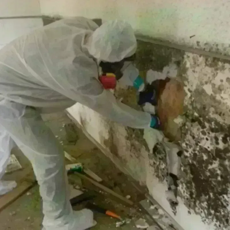 Mold Remediation and Removal in Chesterfield, NH